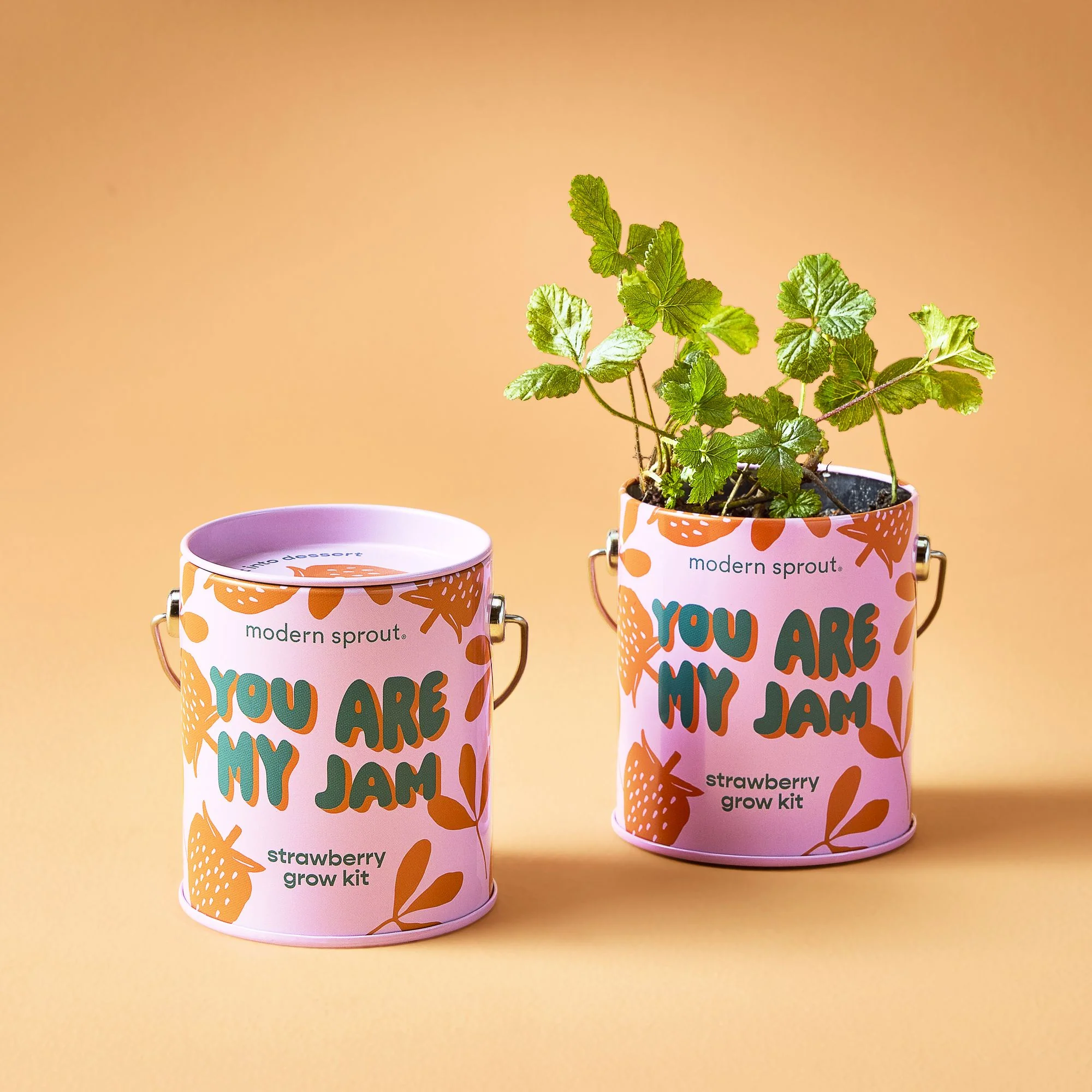 Complimentary Color Grow Kit - Strawberry - Image 2