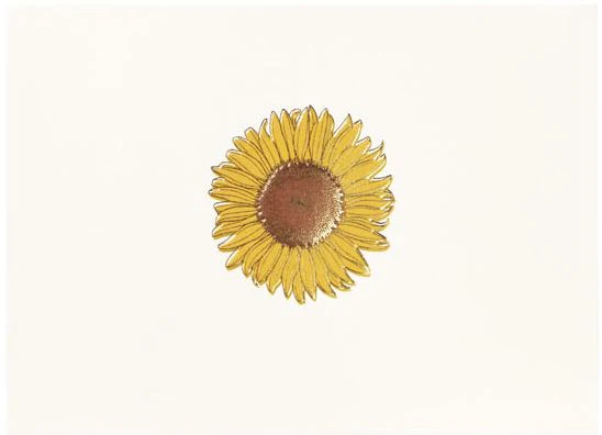 Correspondence Boxed Notecards Gold Sunflower - Image 3