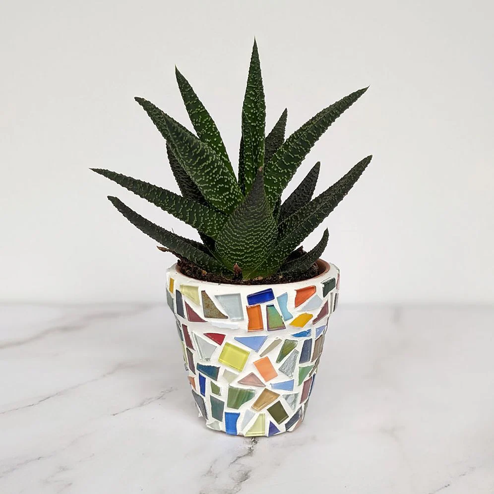 DIY Mosaic Planter Kit - Image 5