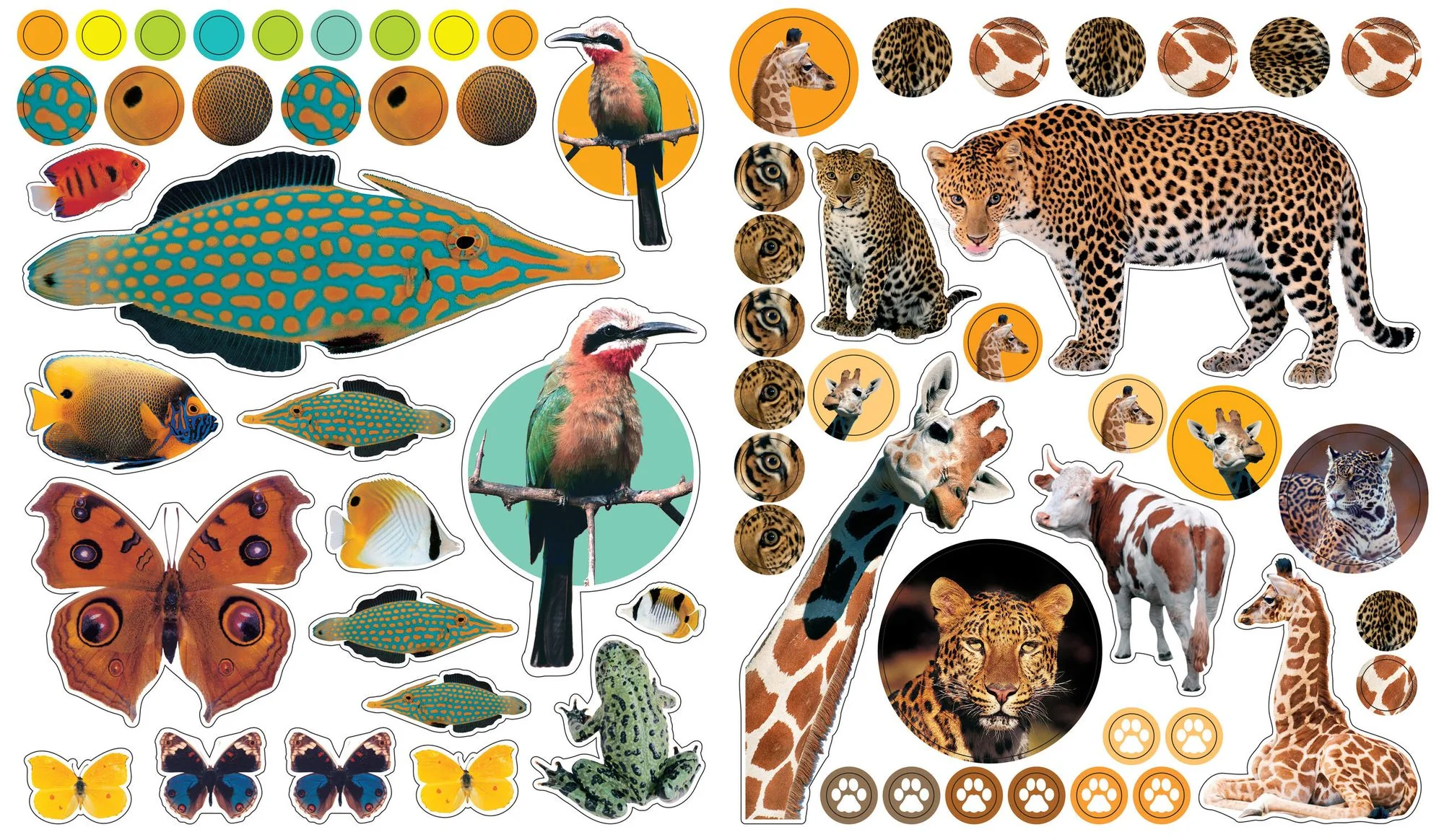 Eyelike Stickers: Animals - Image 8