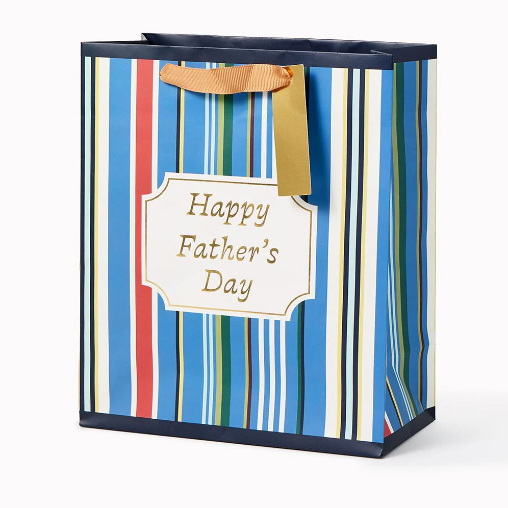 Father's Day Stripes Medium Gift Bag