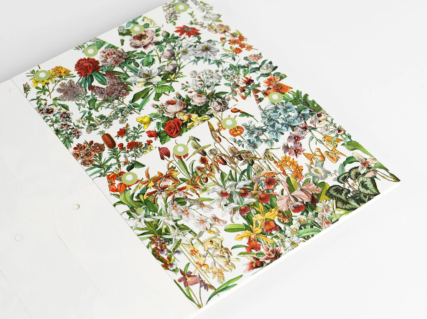 Flowers Papercraft Book - Image 5