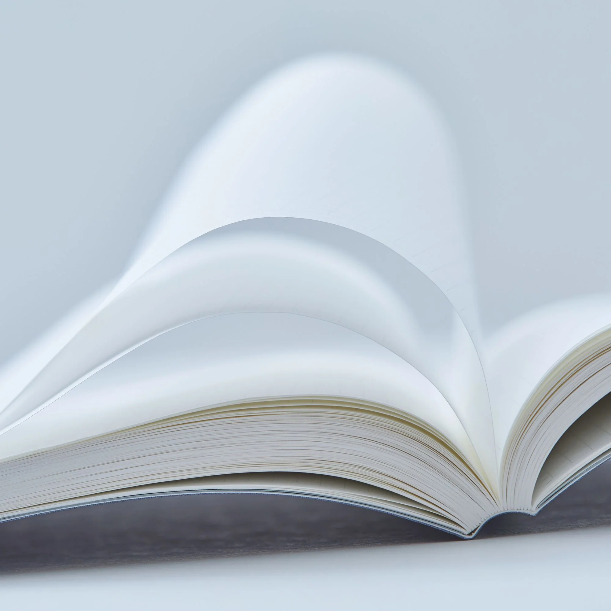 Half Year Yellow Notebook - Image 6