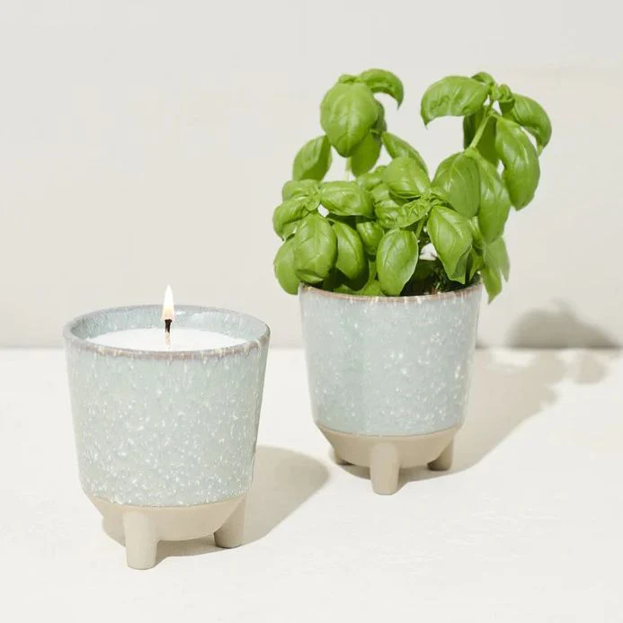 Herb Garden Candle & Basil Glow & Grow Kit - Image 2