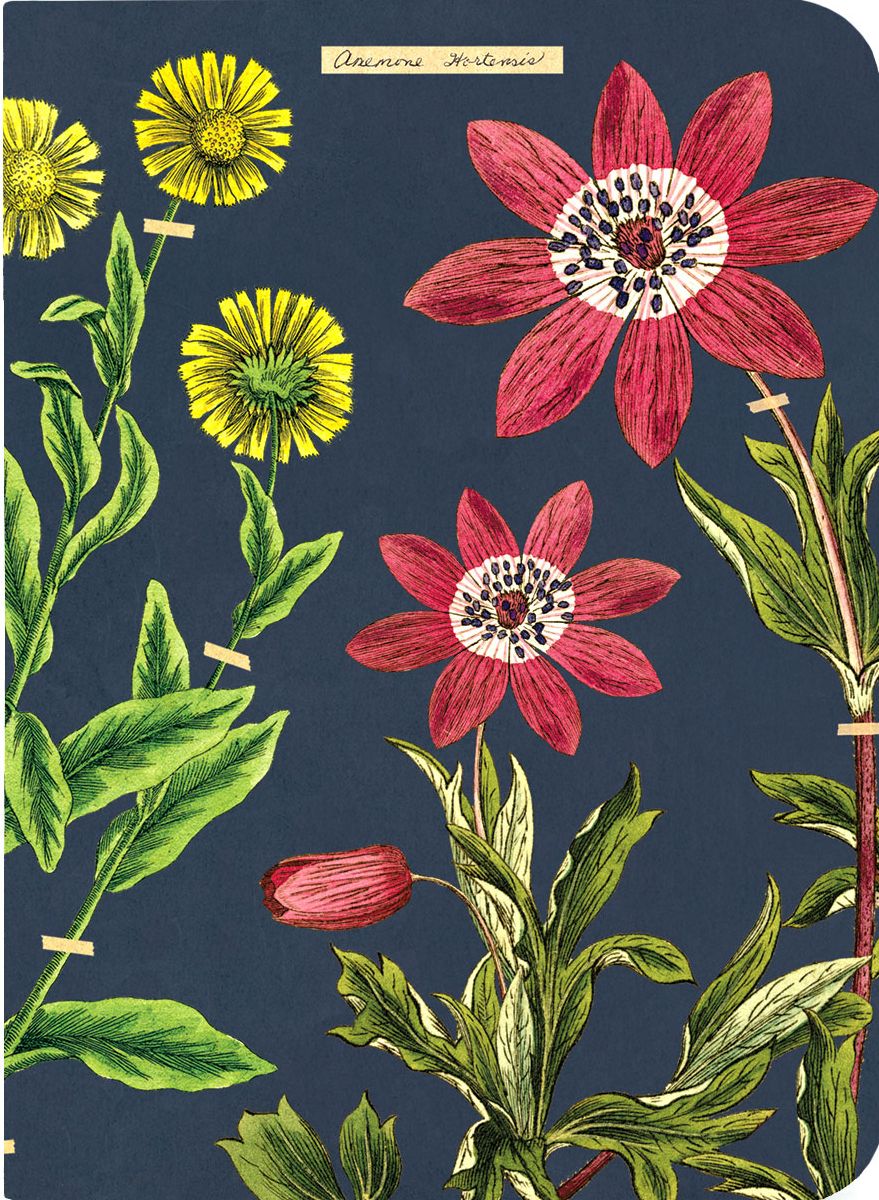 Herbarium Mini Journals - Image 2