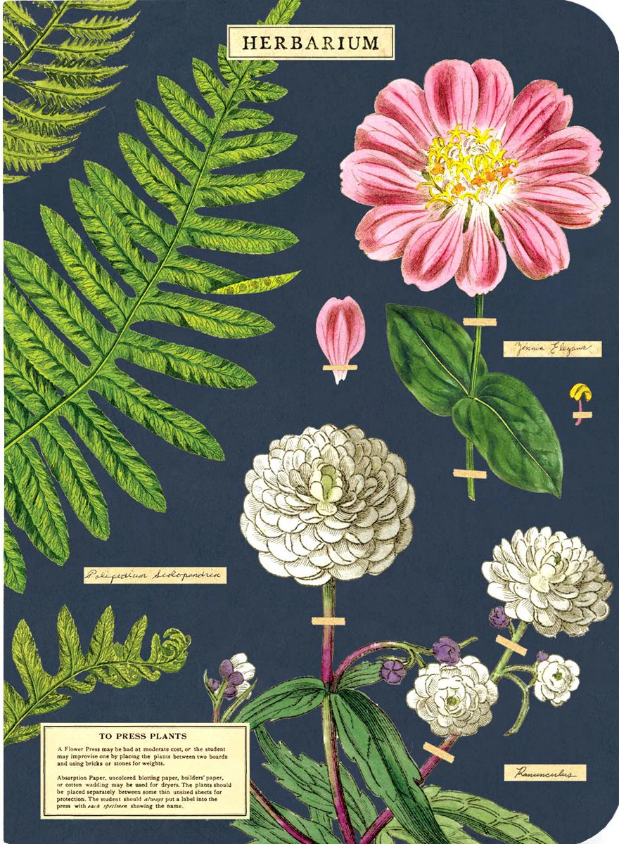 Herbarium Mini Journals - Image 3