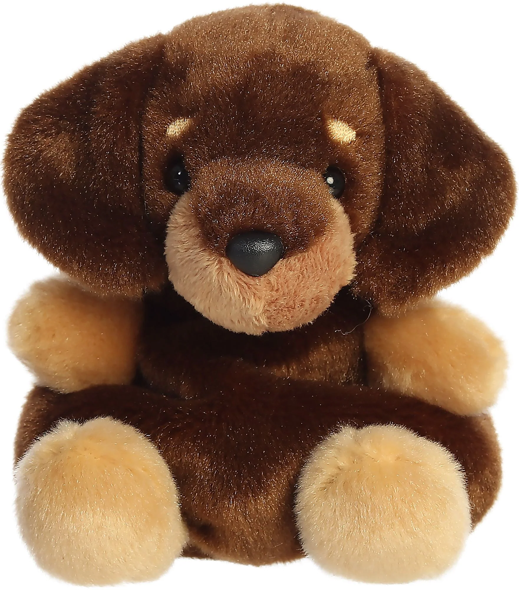Houdini Dachshund 5" Palm Pals - Image 2