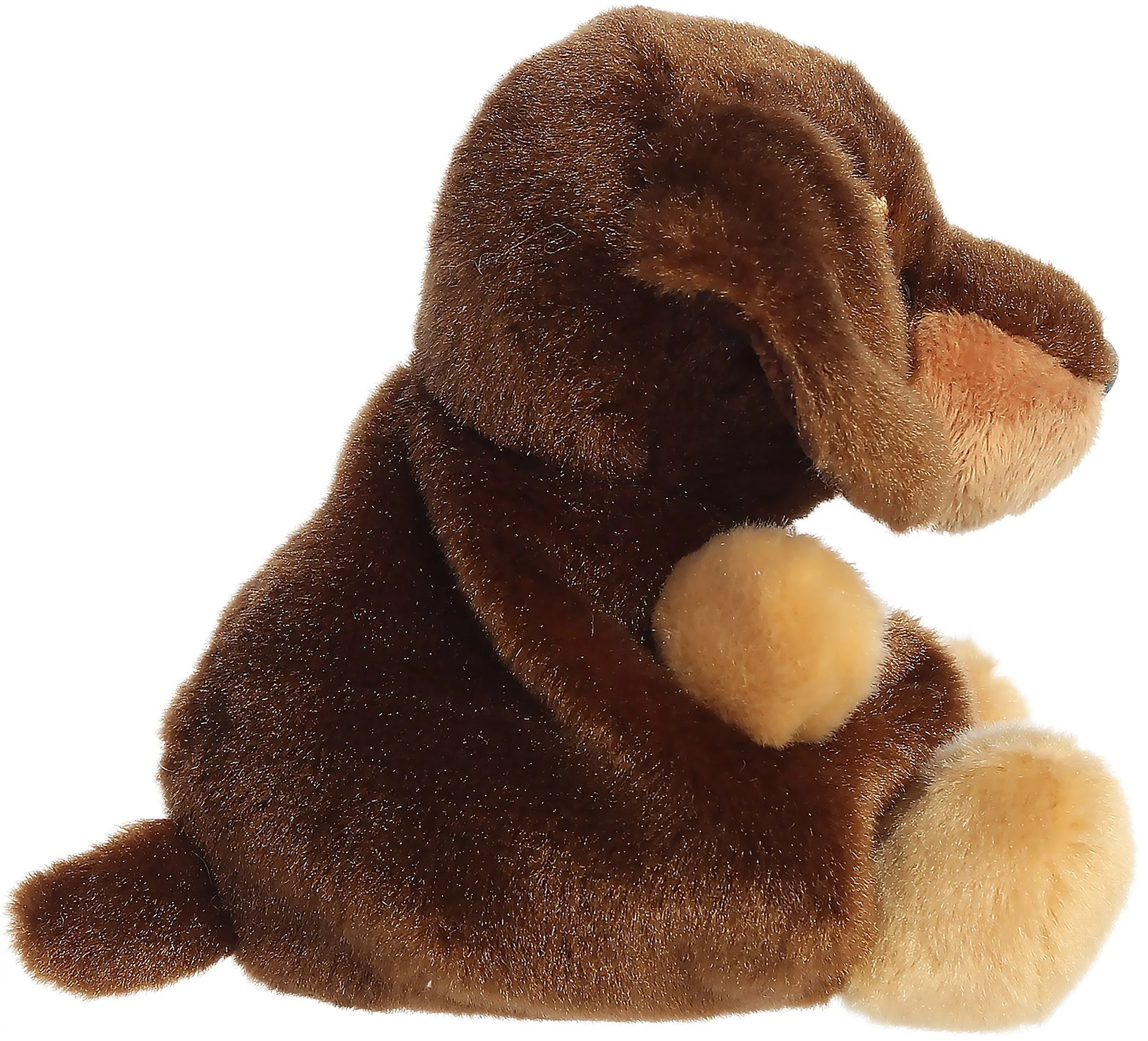 Houdini Dachshund 5" Palm Pals - Image 3