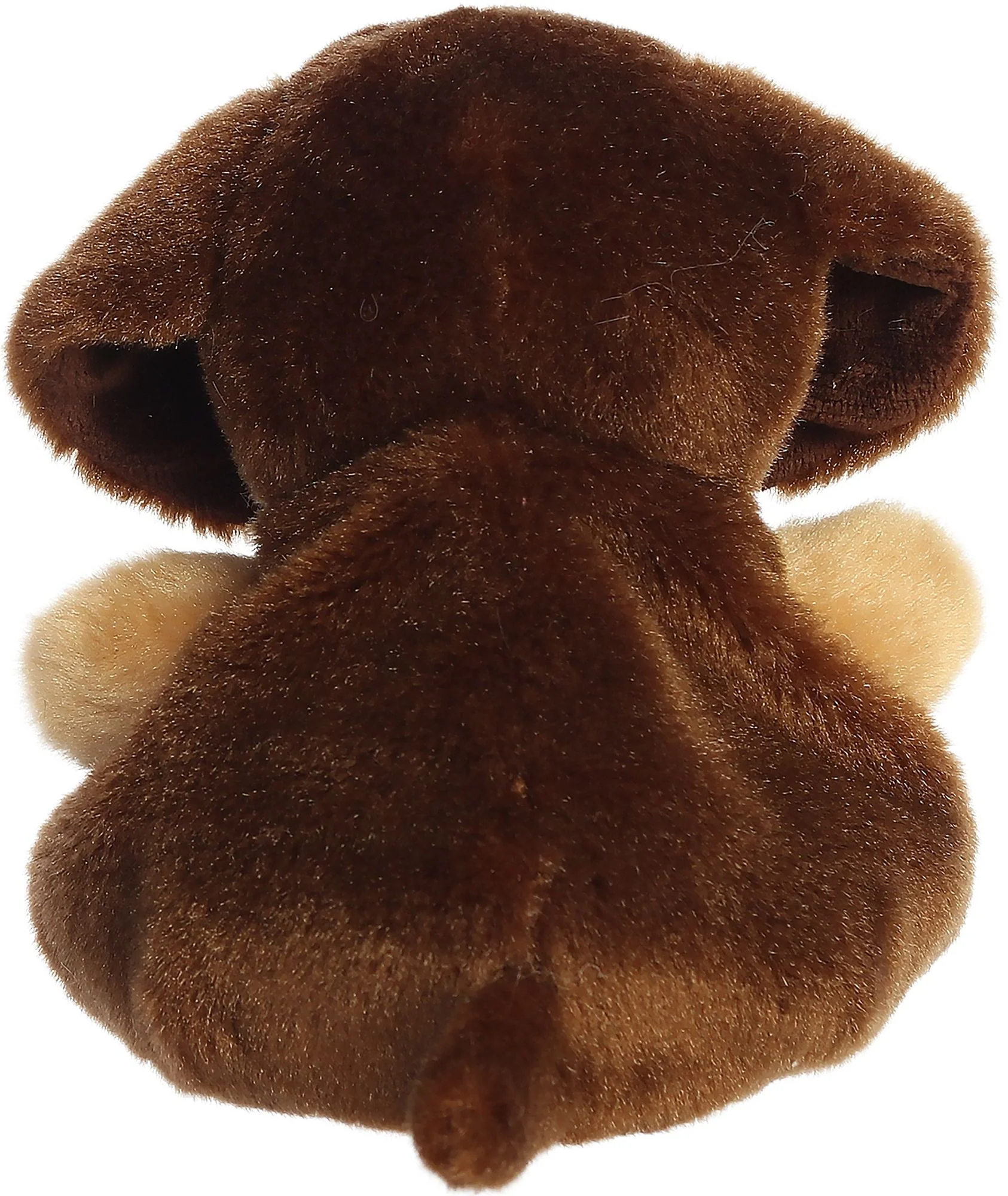 Houdini Dachshund 5" Palm Pals - Image 4