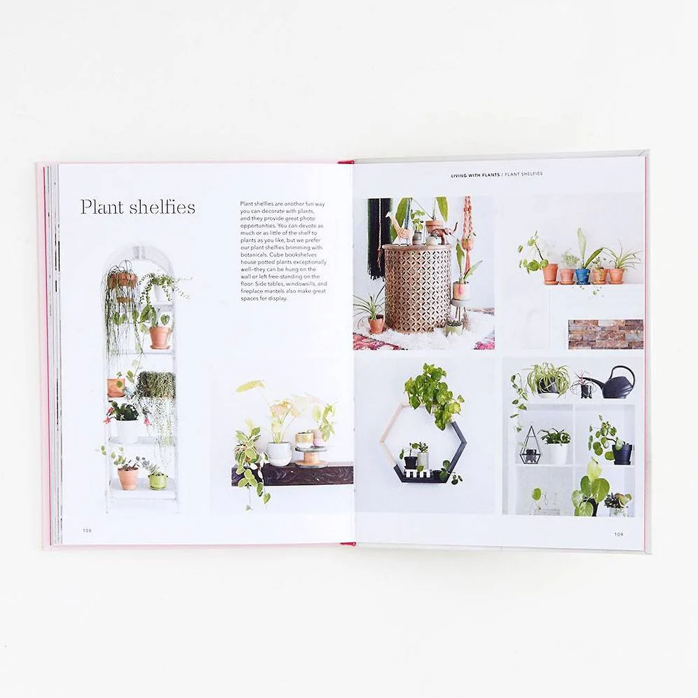 How to Raise a Plant: and Make It Love You Back - Image 2