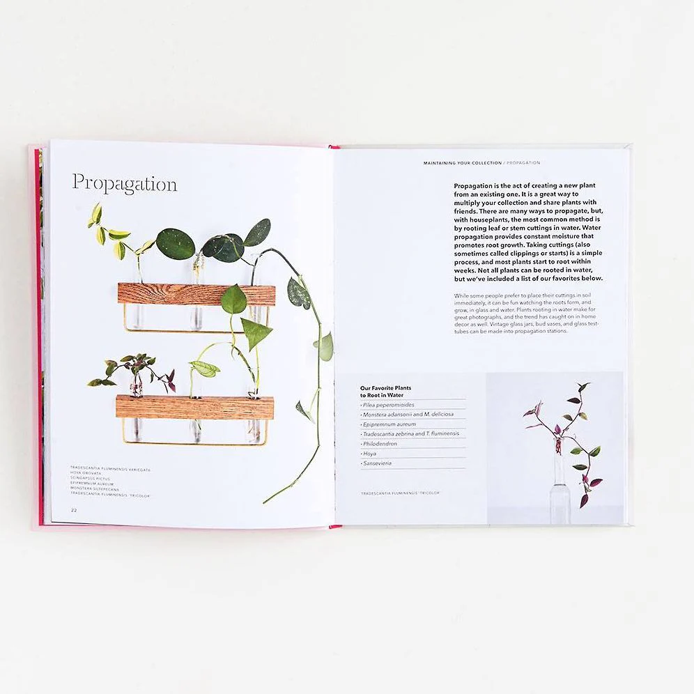 How to Raise a Plant: and Make It Love You Back - Image 4