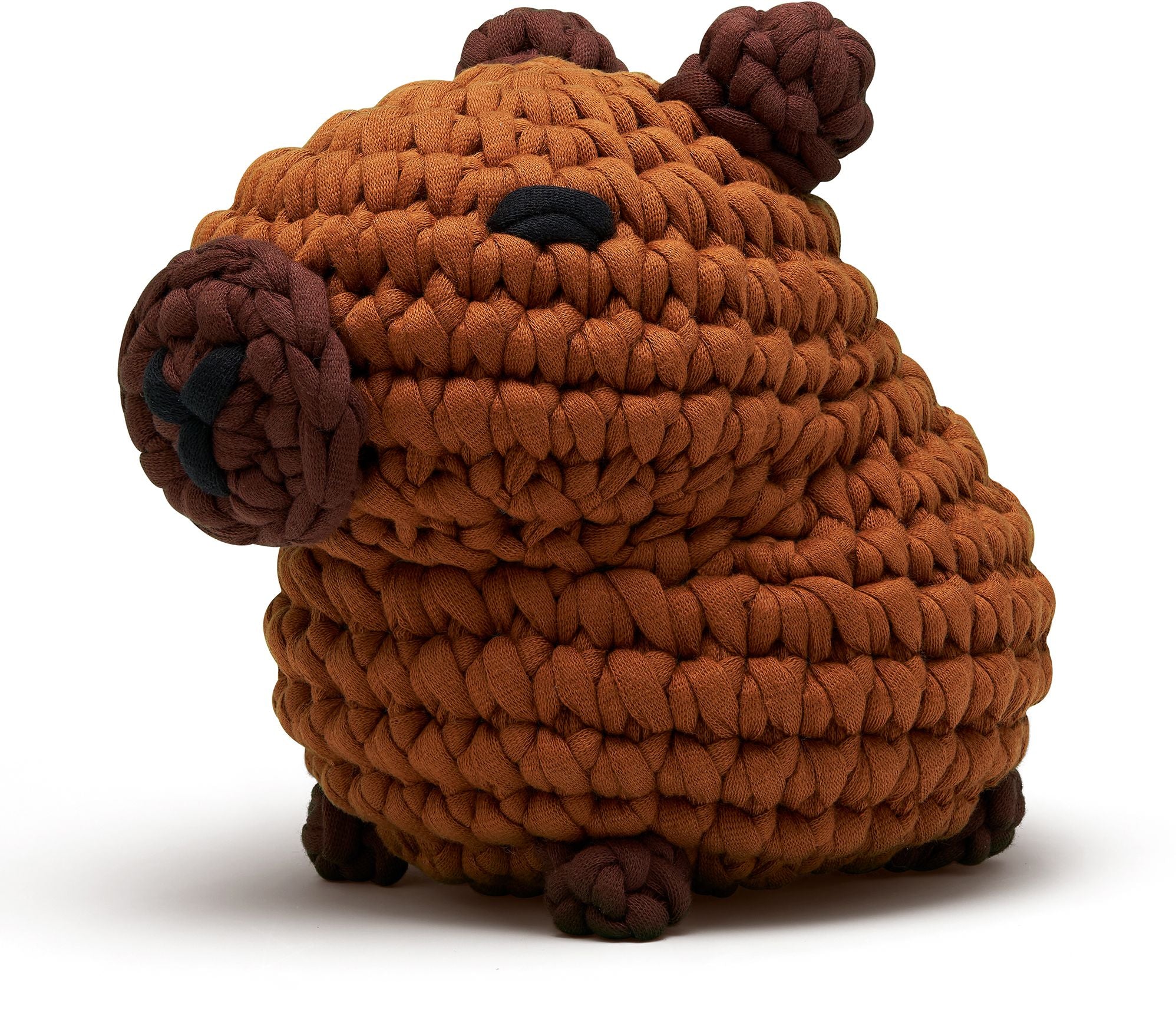 Hugh the Capybara Extra Squeezy Learn to Crochet Kit - Image 2