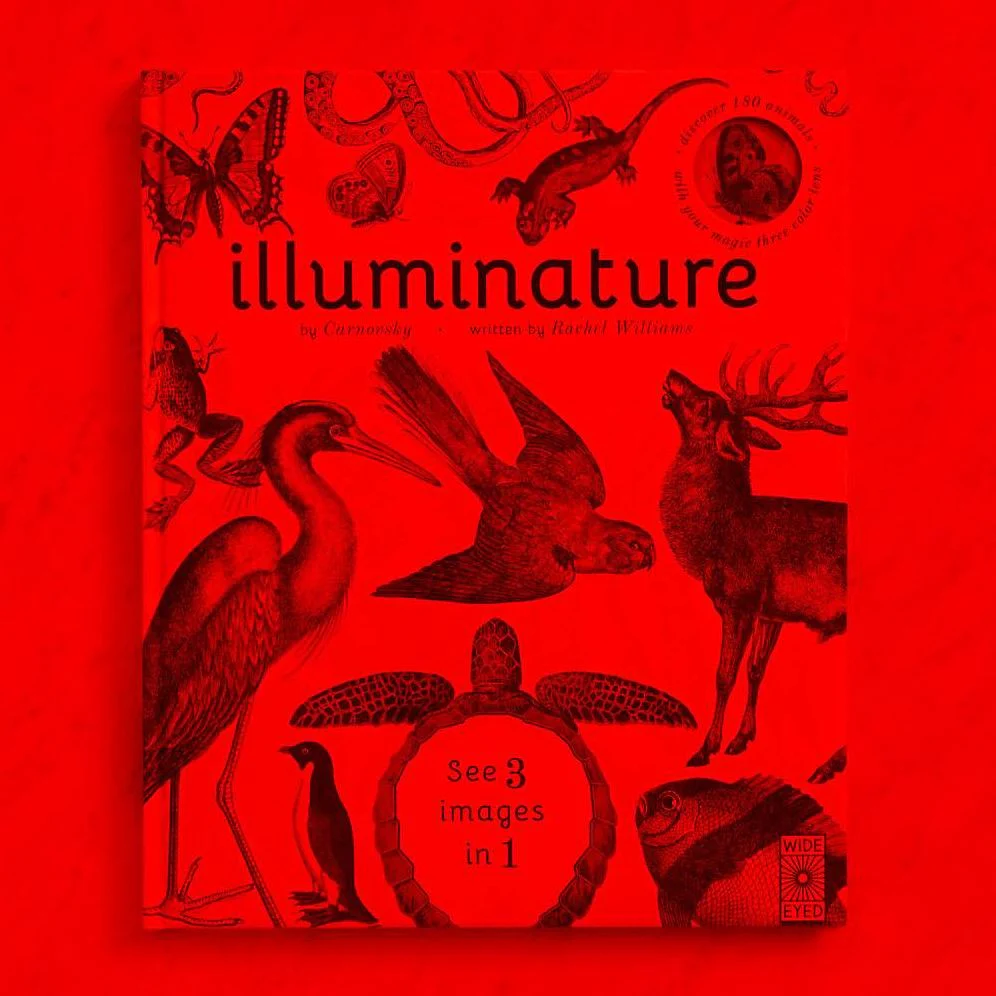 Illuminature: Discover 180 Animals with your Magic Three Color Lens - Image 4