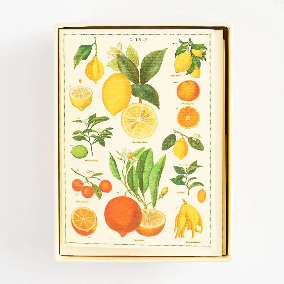 Jardin Stationery Set - Image 3