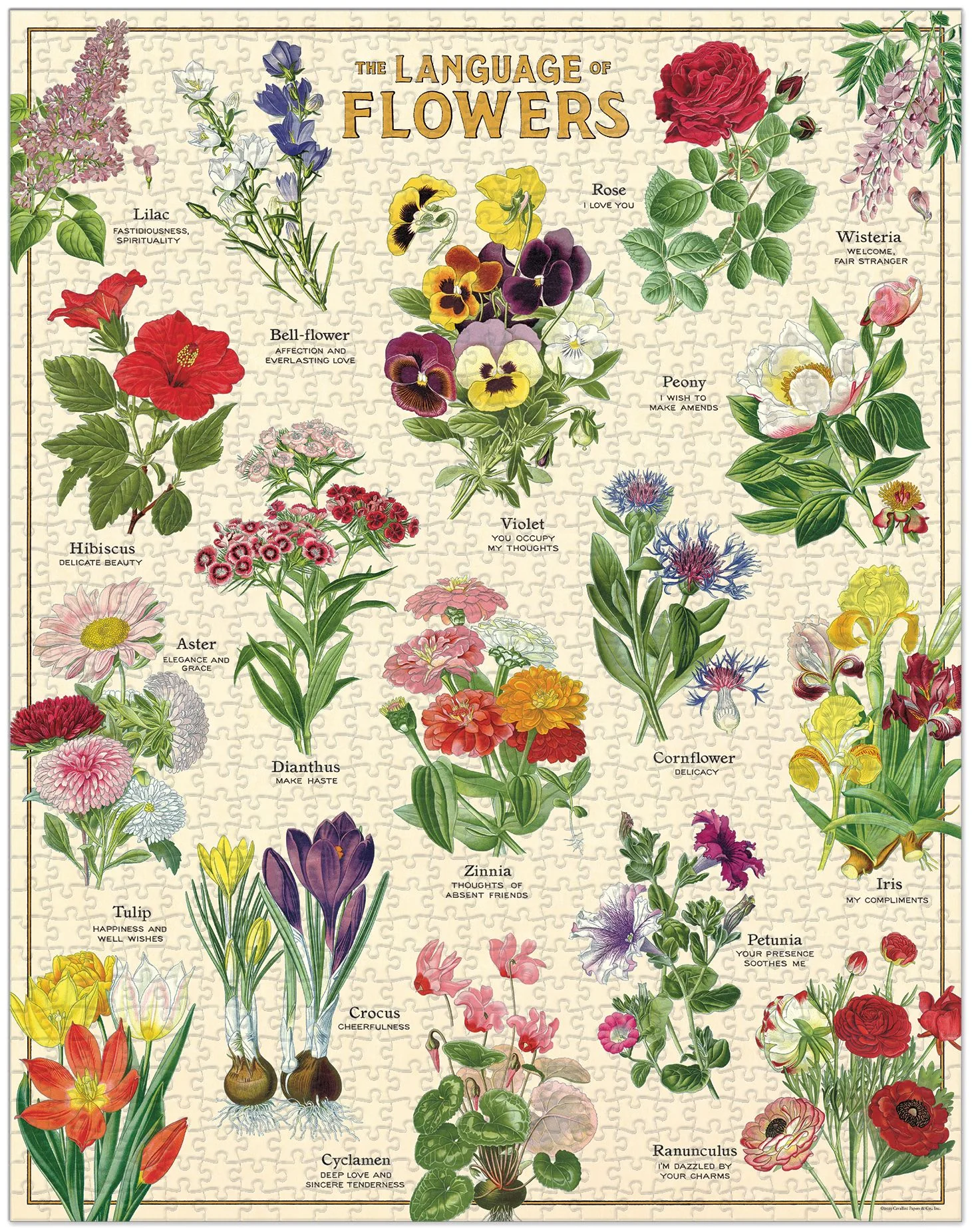 Language of Flowers 1,000 Pc Puzzle - Image 3