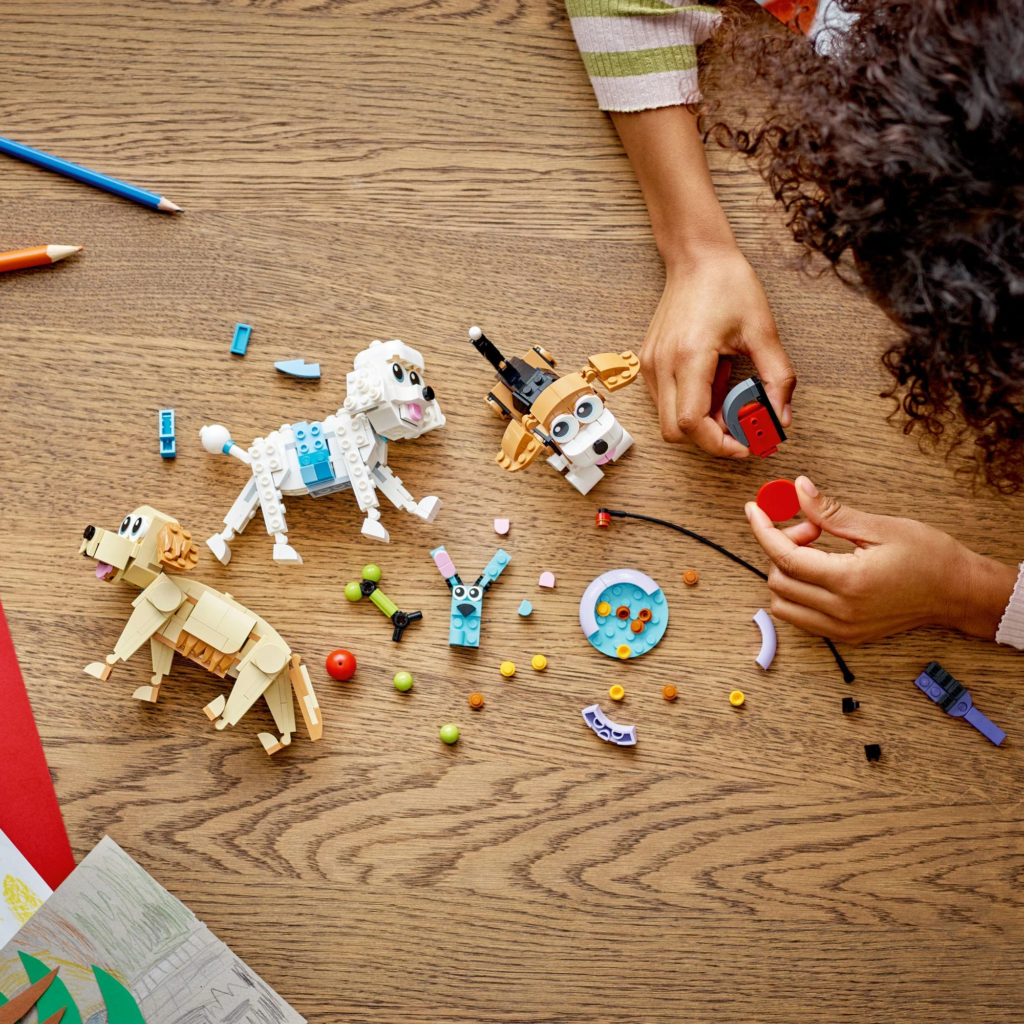 LEGO Creator Adorable dogs 31137 - Image 2