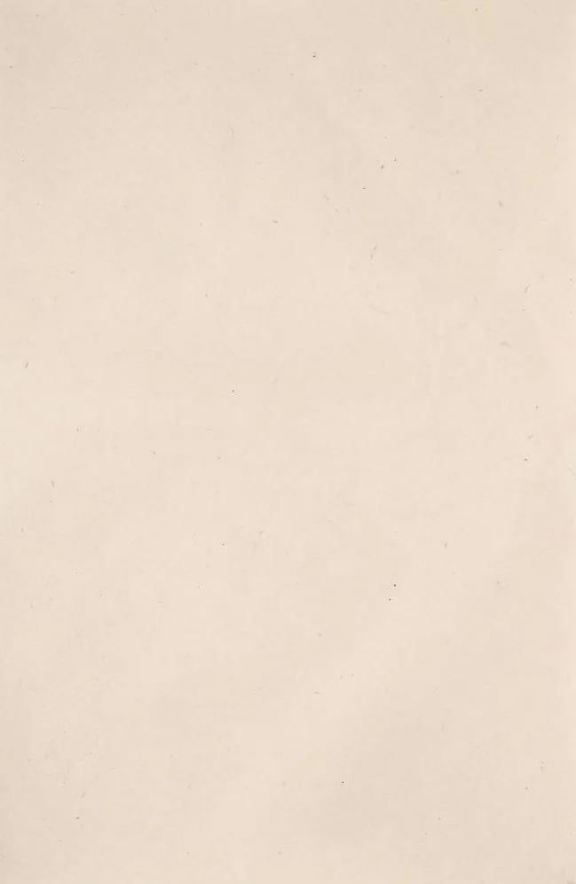 Lokta Natural Handmade Paper