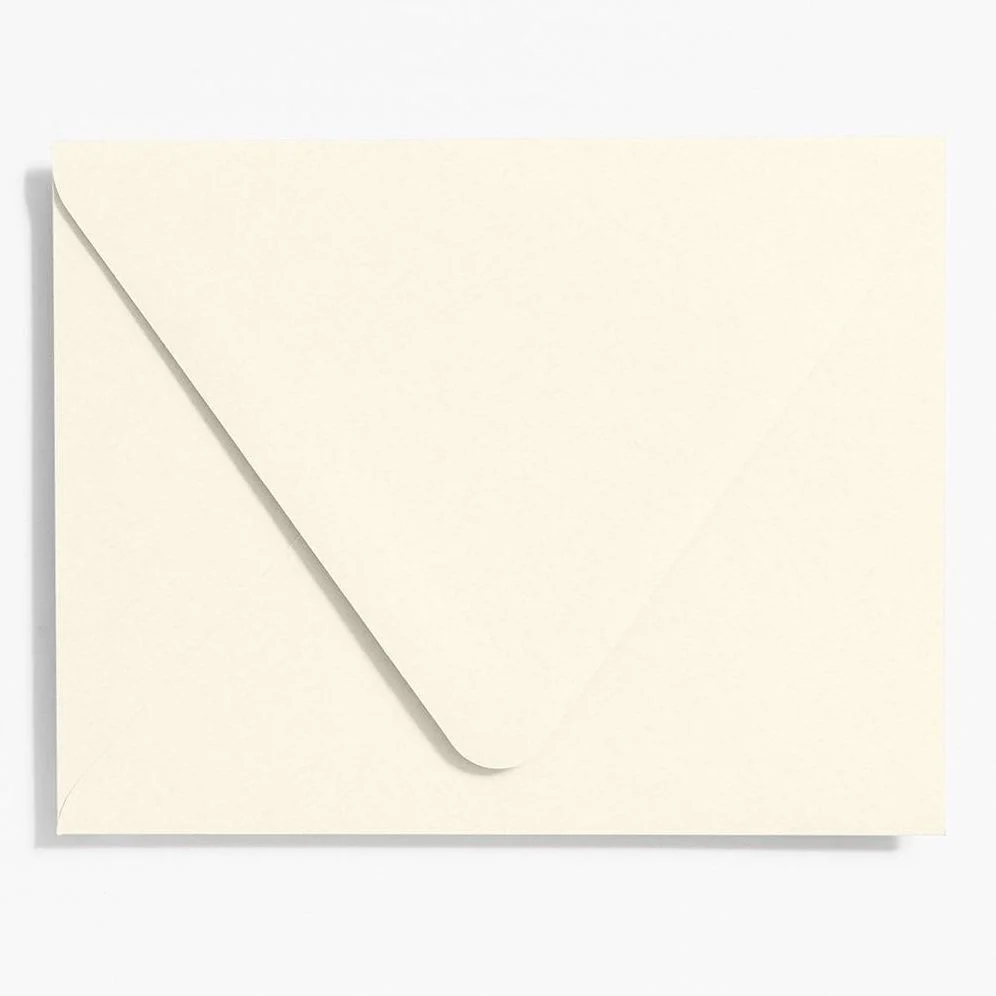 Luxe White Presentation Envelopes