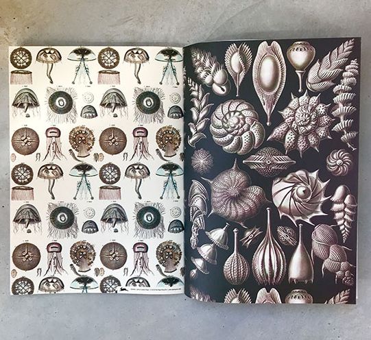 Marine - Gift & Creative Paper Book - Image 4