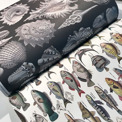 Marine - Gift & Creative Paper Book - Image 5