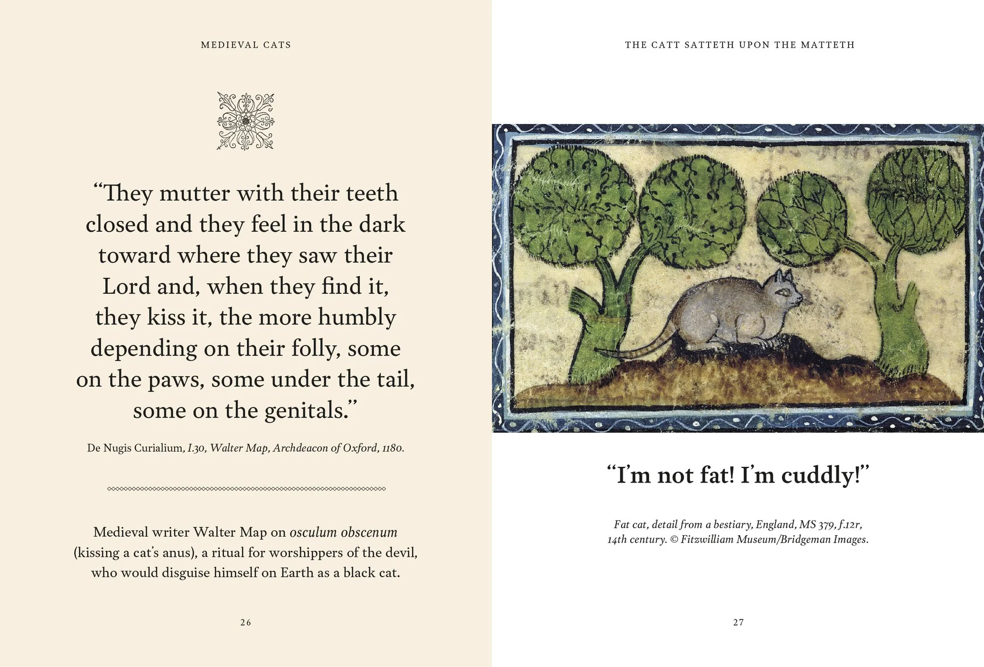 Medieval Cats: Claws, Paws, and Kitties of Yore - Image 2