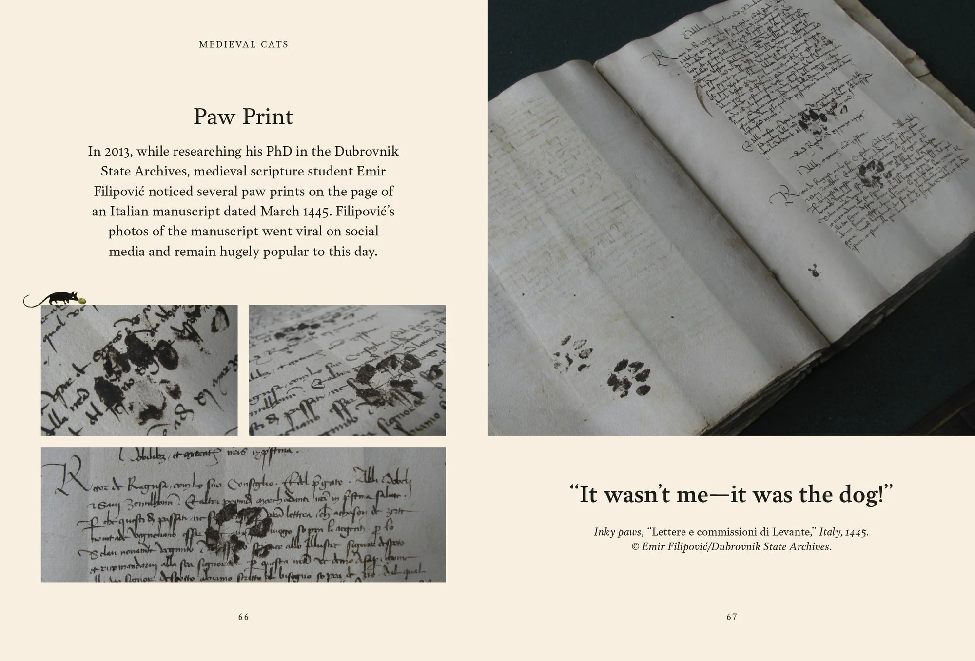 Medieval Cats: Claws, Paws, and Kitties of Yore - Image 5