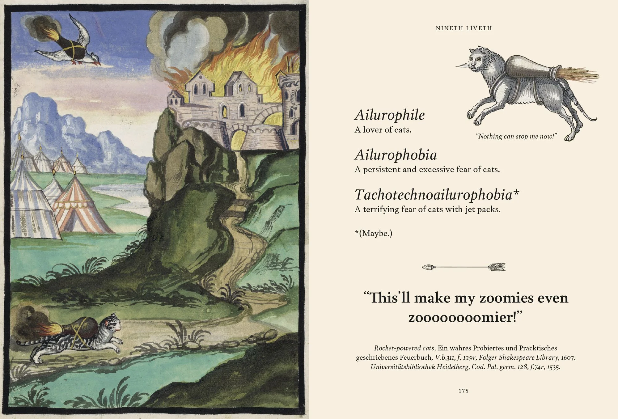 Medieval Cats: Claws, Paws, and Kitties of Yore - Image 6