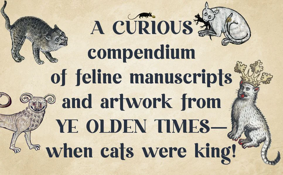 Medieval Cats: Claws, Paws, and Kitties of Yore - Image 7