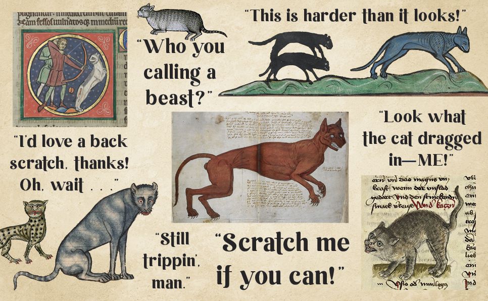 Medieval Cats: Claws, Paws, and Kitties of Yore - Image 8