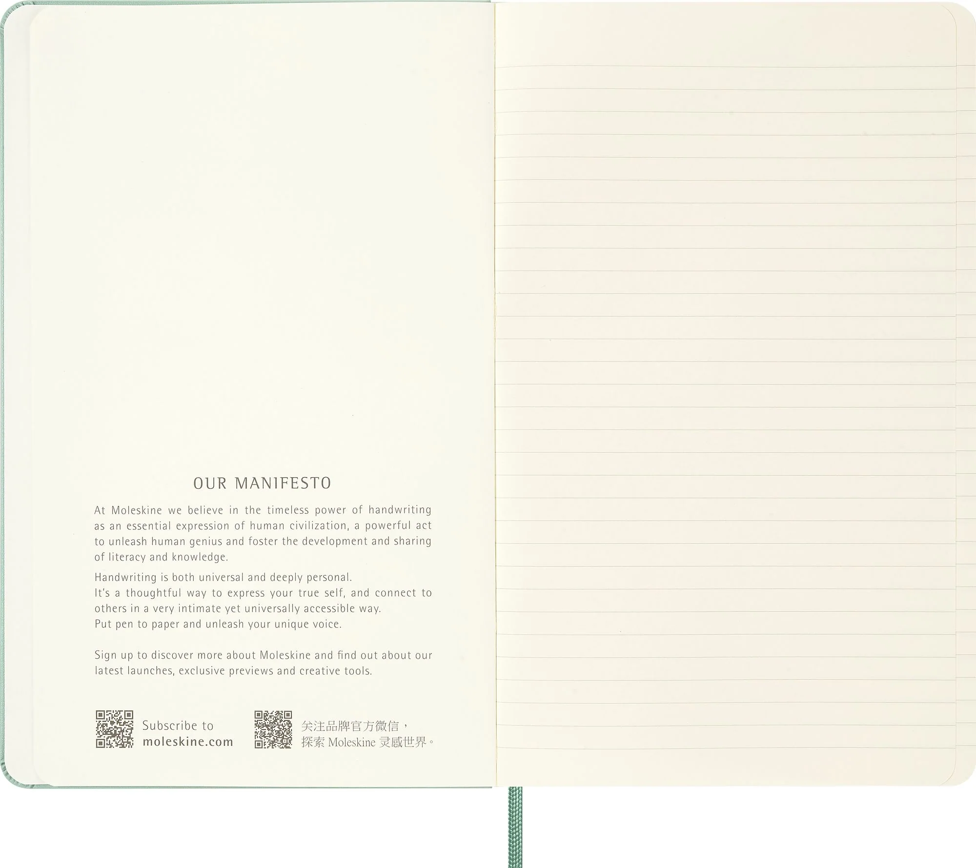 Moleskine Colored Patterned Notebook, Hard Cover, Large (5" x 8.25") Ruled/Lined, Sage Green, 240 Pages - Image 3