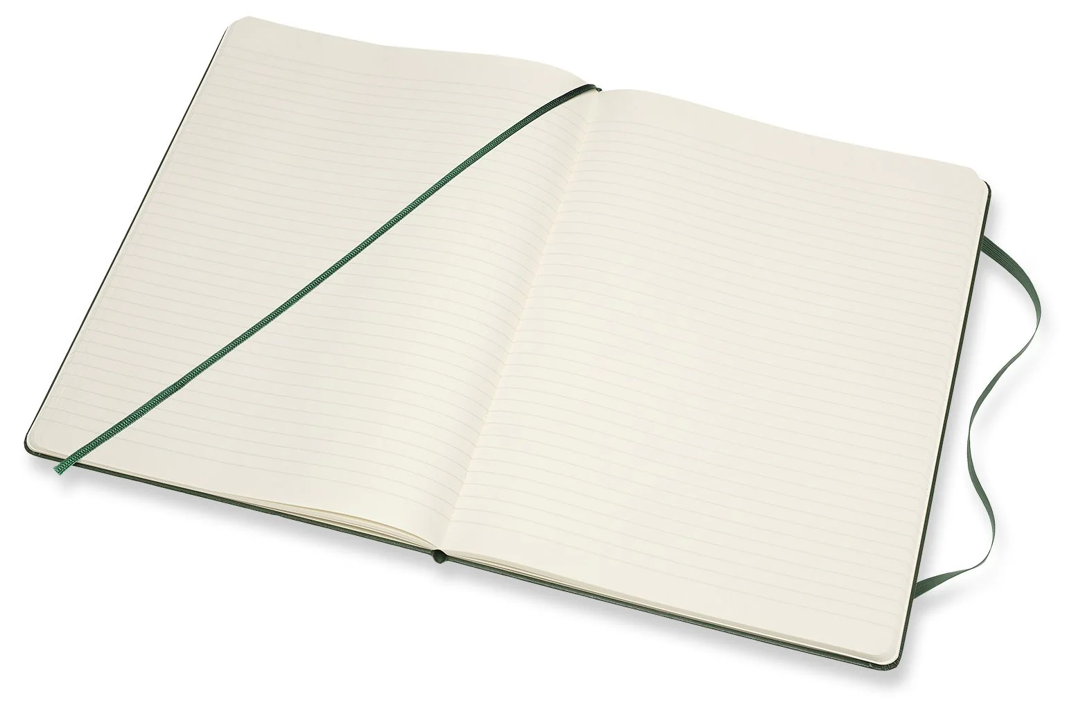 Moleskine Notebook, Extra Large, Ruled, Myrtle Green, Hard Cover (7.5 x 9.75) - Image 2