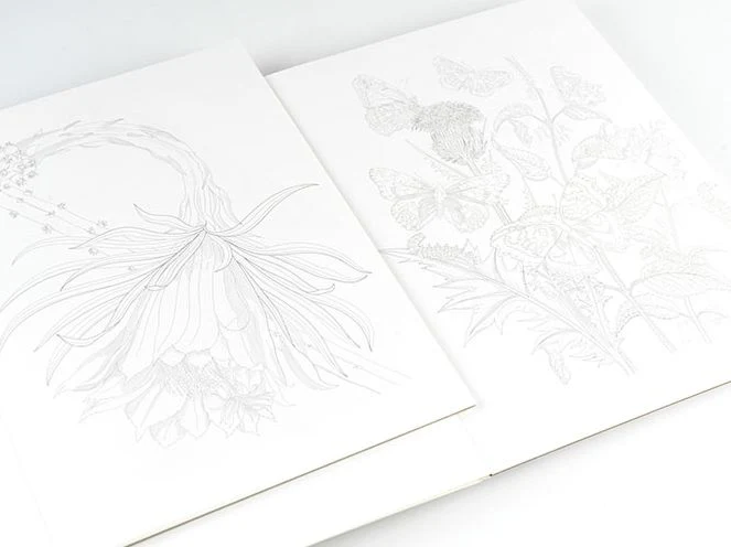 Natural History - Artists' Colouring Book - Image 4