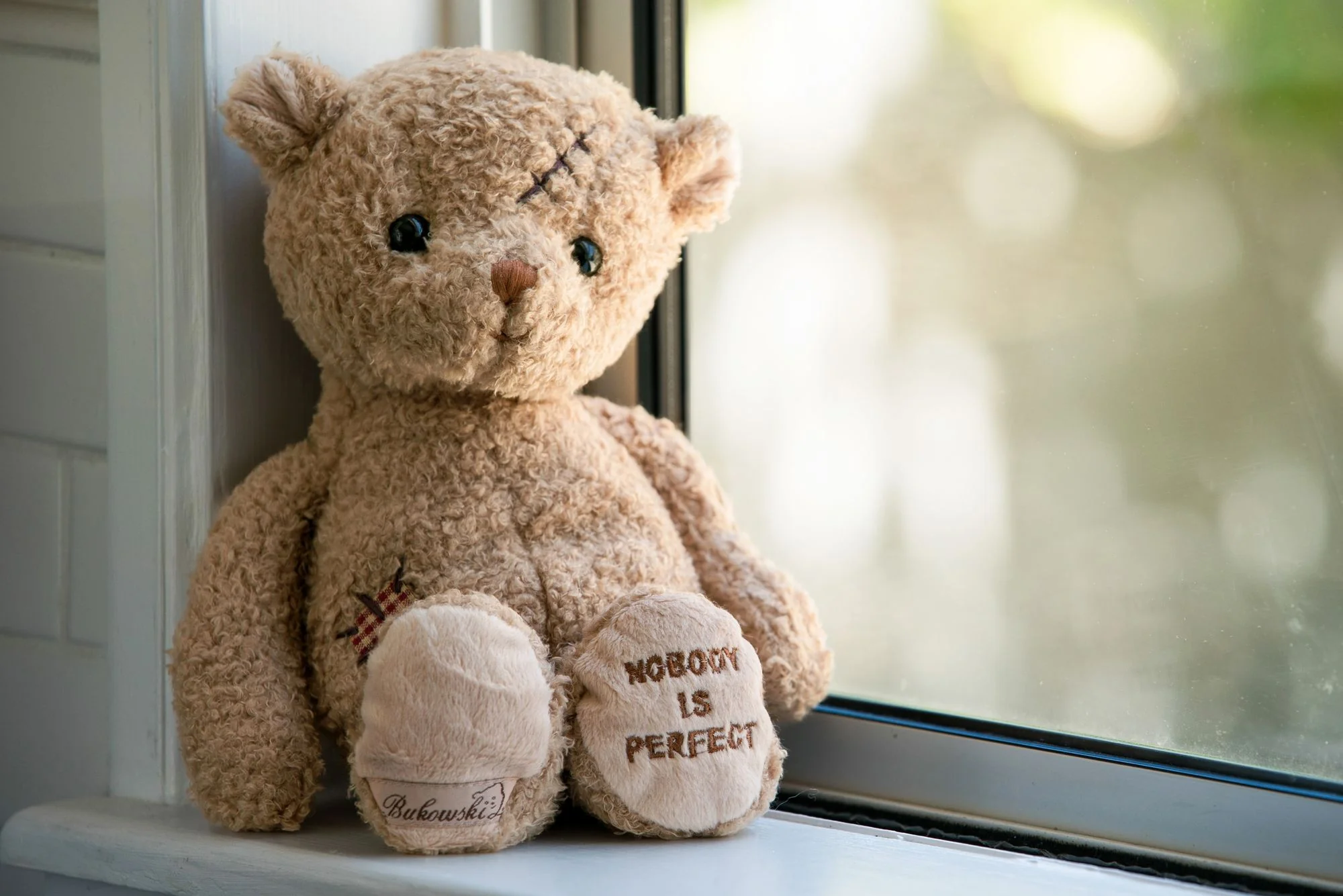 Nobody is Perfect Bear - Image 3
