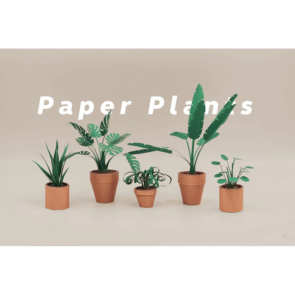 Paper Plants - Image 2