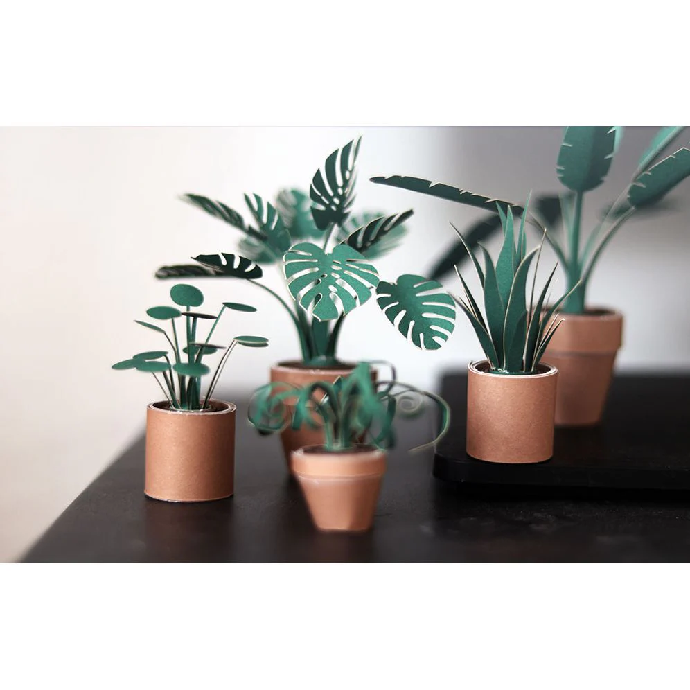 Paper Plants - Image 3
