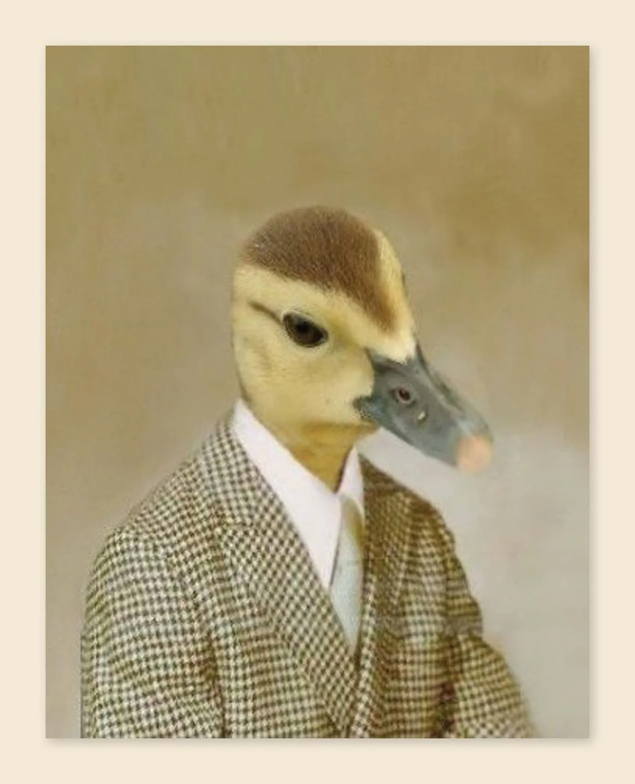 Picture Day Notecards (Gift for Animal Lovers, Funny Stationery, Notecards with Cute Animals) - Image 4