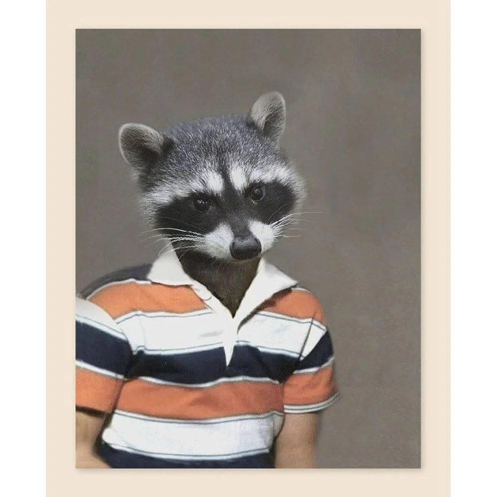 Picture Day Notecards (Gift for Animal Lovers, Funny Stationery, Notecards with Cute Animals) - Image 6