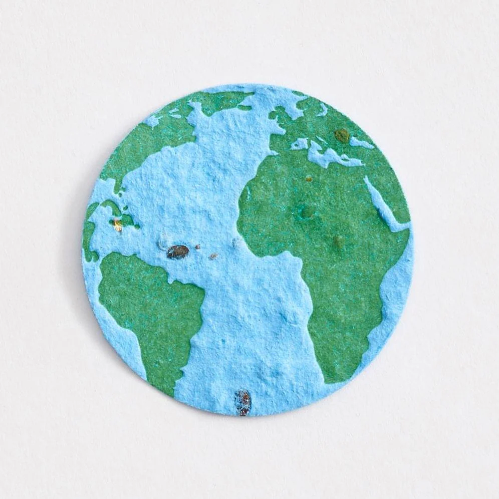 Plantable Globes - Image 2