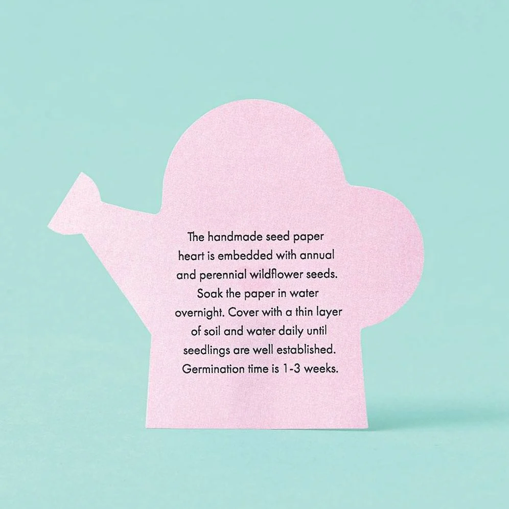 Potted Hearts Plant Kit - Image 2