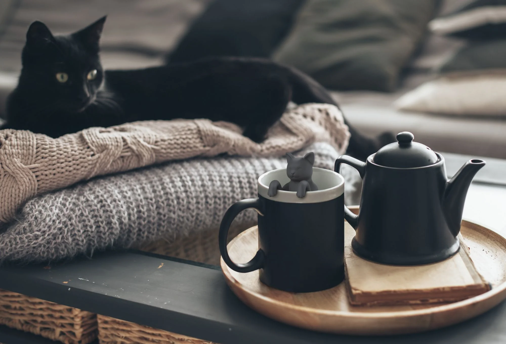 Purrtea Tea Infuser - Image 2