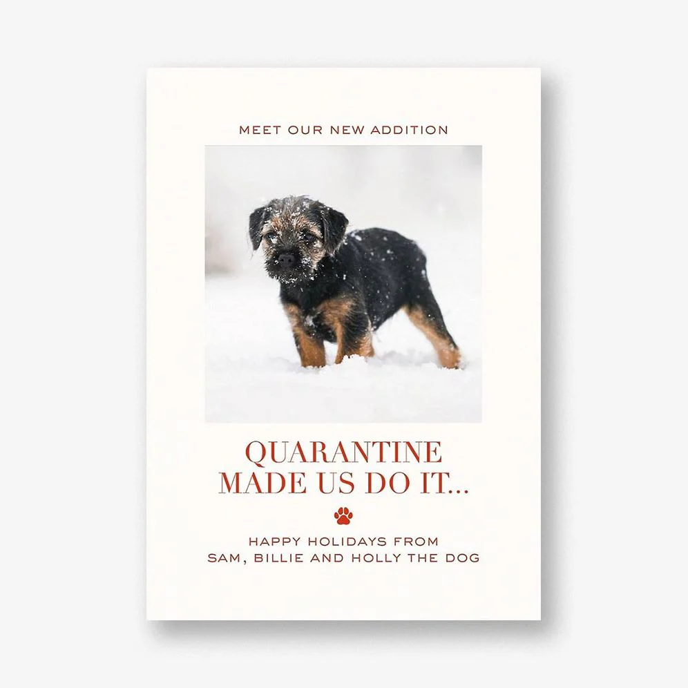 Quarantine Made Us Do It Photo Card
