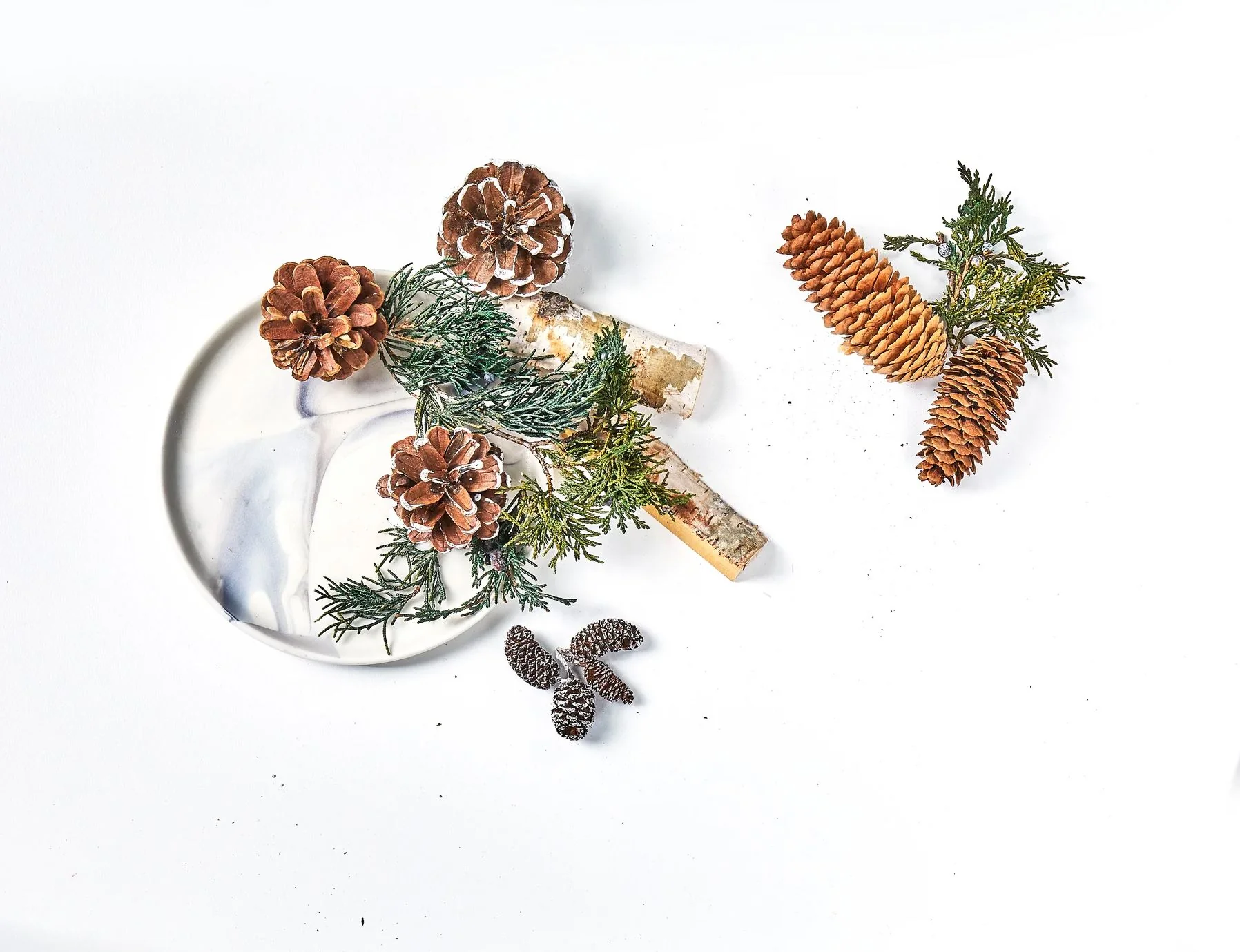 Roland Pine 12 oz Potpourri - Image 3