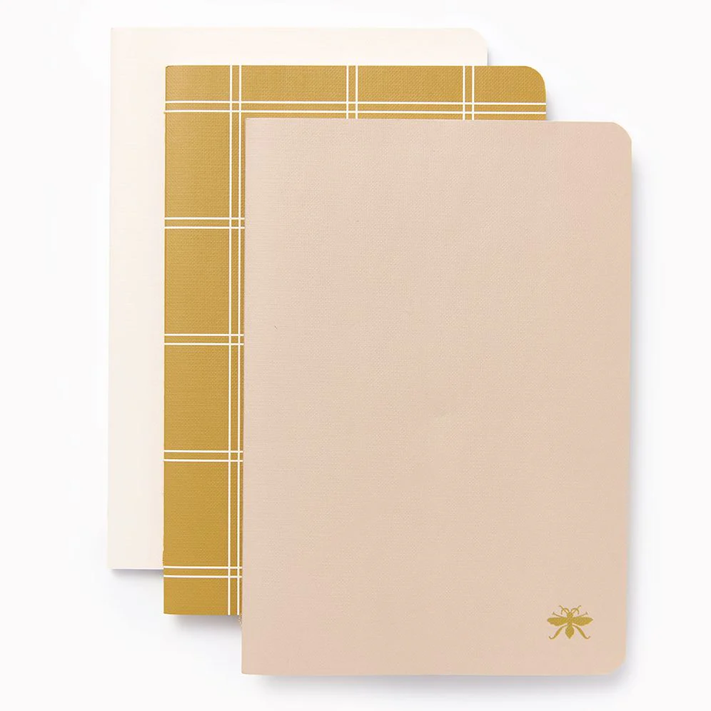 Sand Paper Wasp S/3 Notebooks