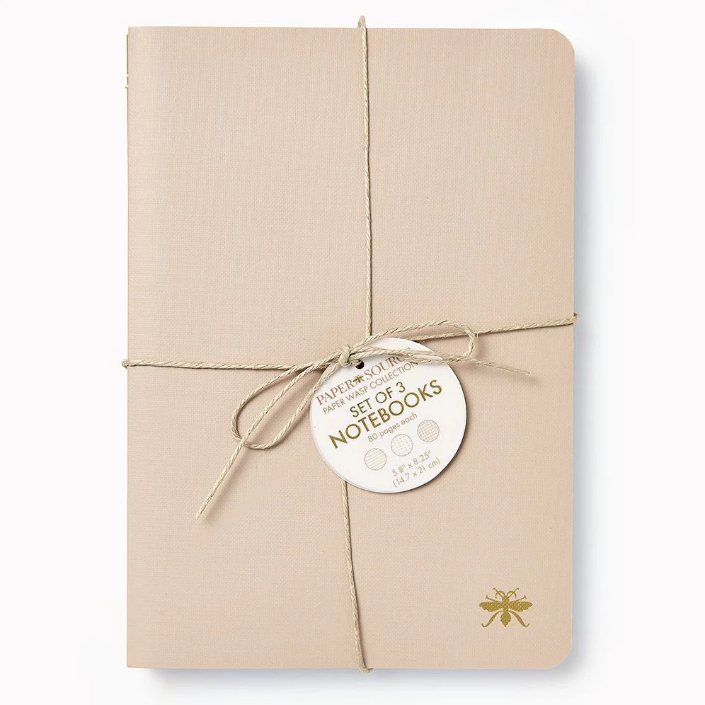 Sand Paper Wasp S/3 Notebooks - Image 2