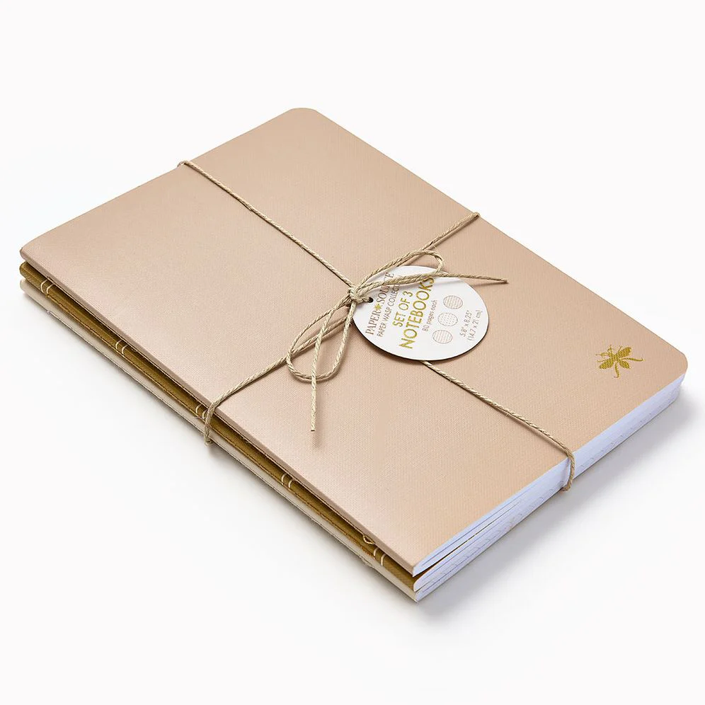 Sand Paper Wasp S/3 Notebooks - Image 3