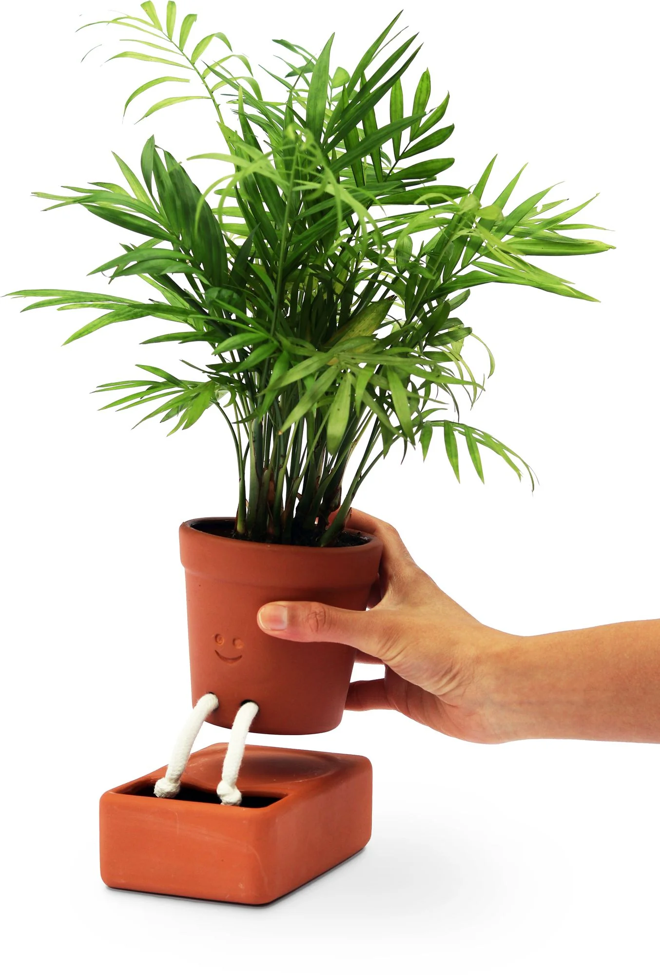 Self Care Planter - Image 2
