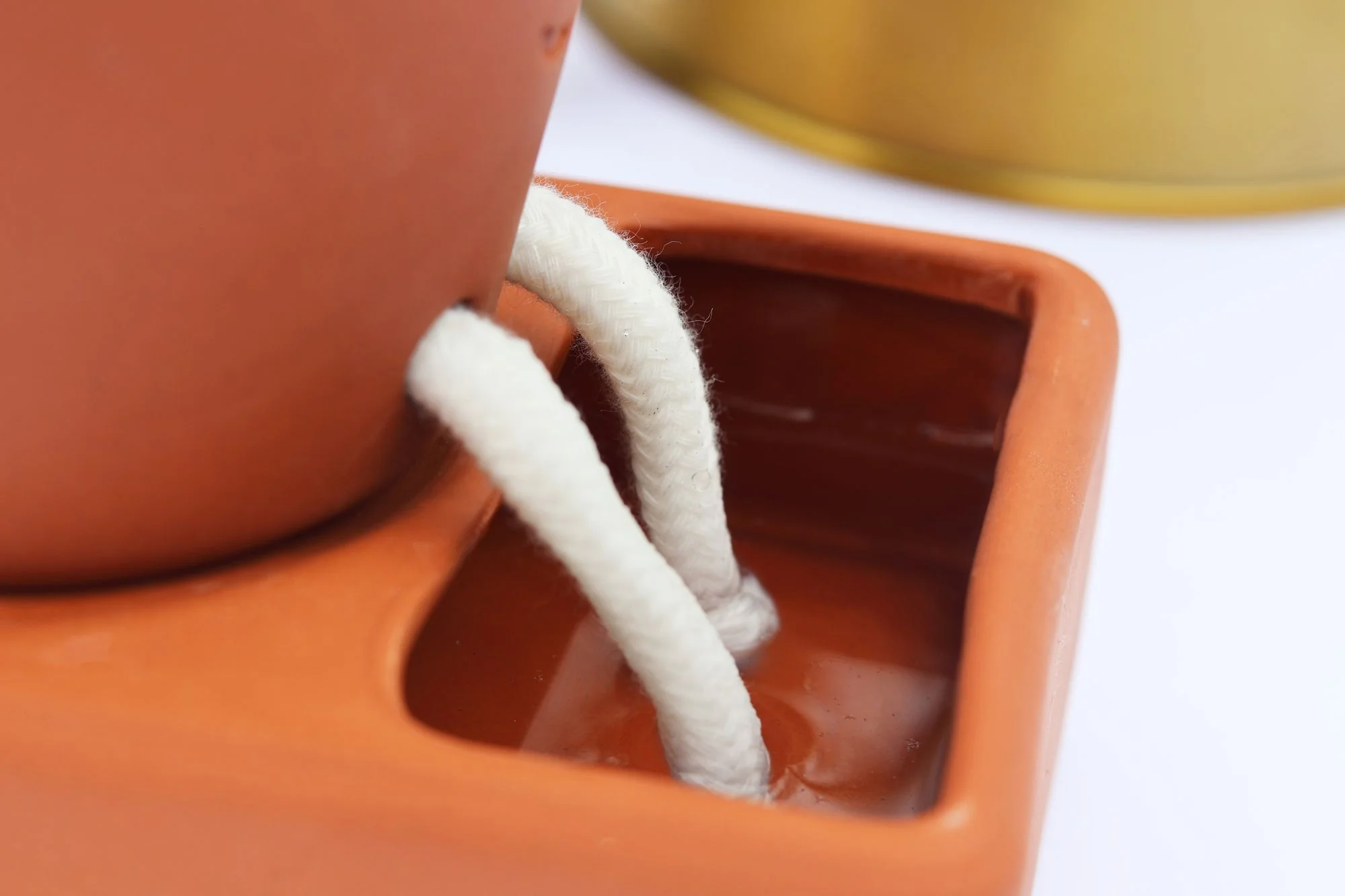 Self Care Planter - Image 4