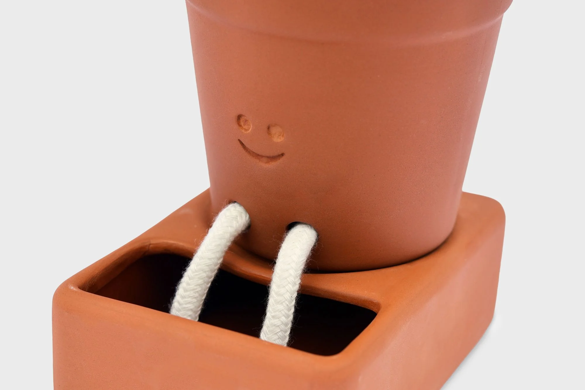Self Care Planter - Image 5