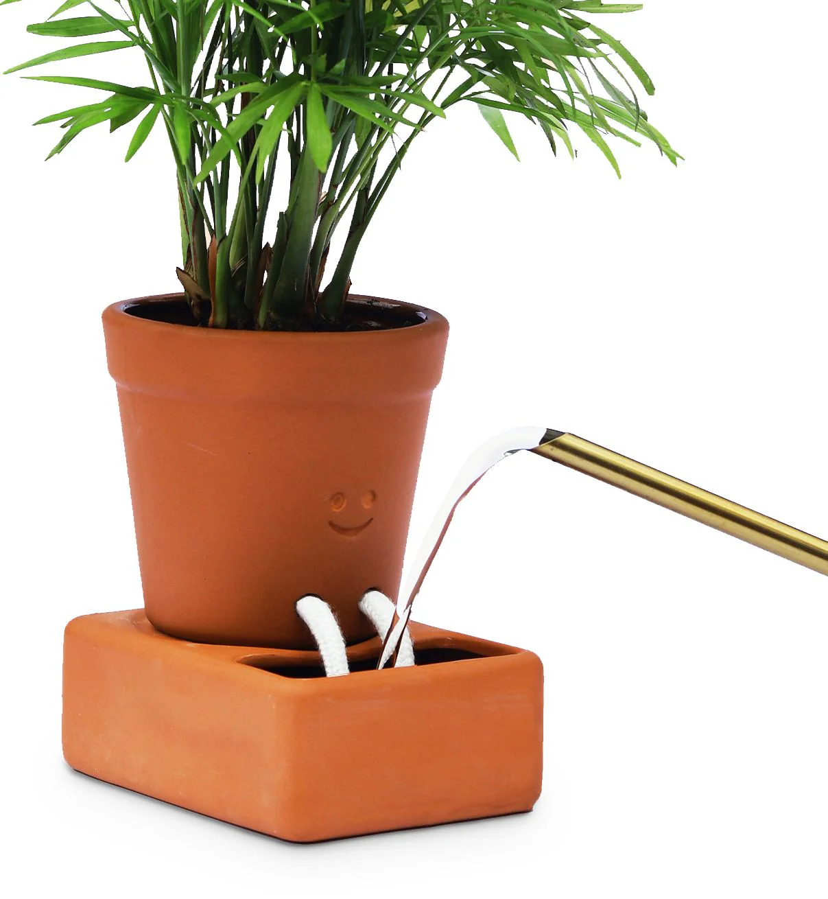 Self Care Planter - Image 6
