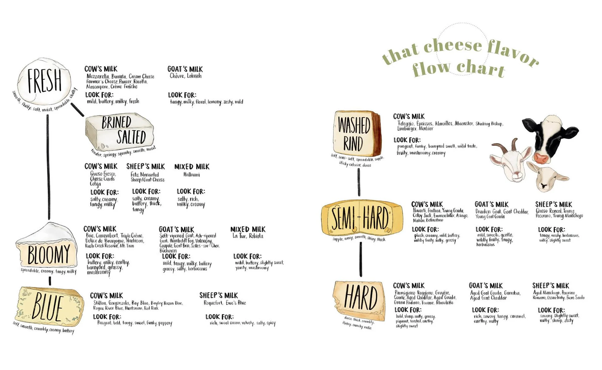 That Cheese Plate Wants to Party: Festive Boards, Spreads, and Recipes with the Cheese By Numbers Method - Image 8
